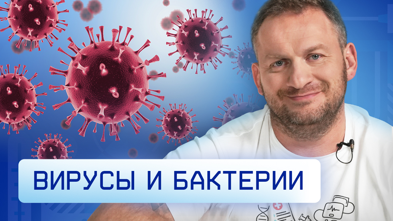Вирусы и бактерии. Разбираемся как лечить.