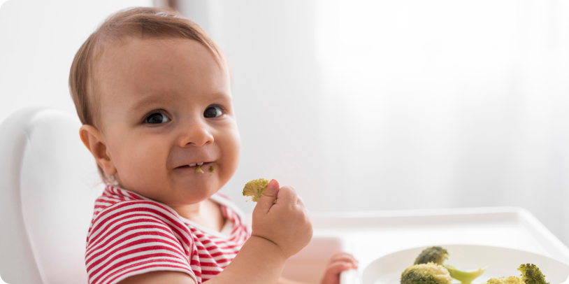 Домашний или промышленный прикорм?