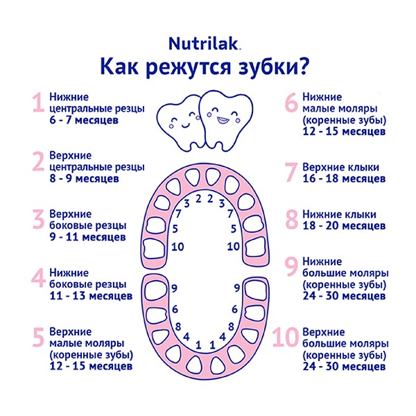 Сроки прорезывания молочных зубов