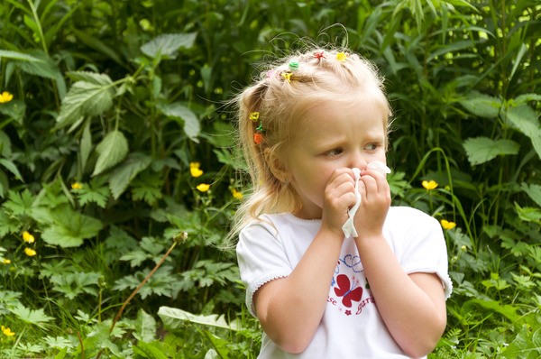 Аллергия на цветение у ребенка 
